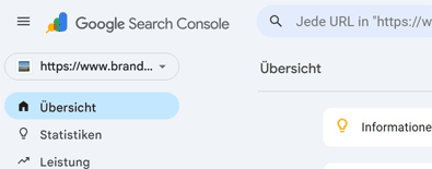 google search
